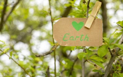 Strategie per organizzare un evento green